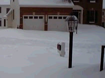 Our front yard buried in snow