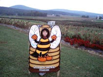Miranda with her head inside bee cutout