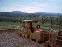 Miranda in playground train before Catoctin Mountains.