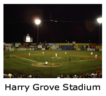 Harry Grove Stadium