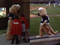 Sammy the Sea Otter from Navy Federal Credit Union