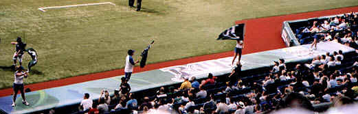 Ray Team on home dugout waving flags.