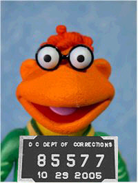 Mug shot of Scooter the Muppet.