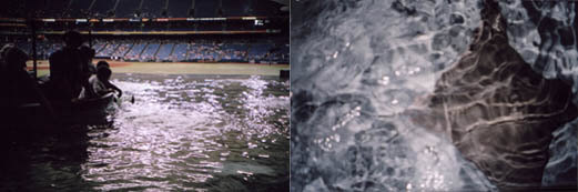 The ray tank at Tropicana Field and a ray in the tank.